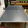 300x Table Tennis