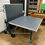 300x Table Tennis
