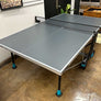 300x Table Tennis