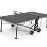 300x Table Tennis