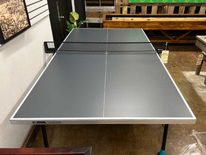 300x Table Tennis