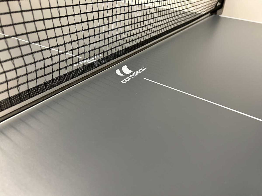 300x Table Tennis