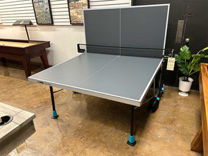 300x Table Tennis