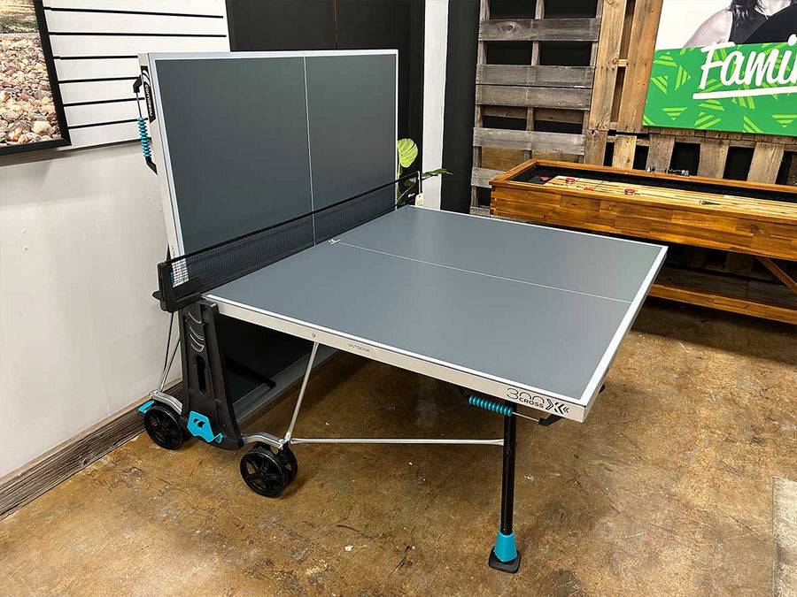 300x Table Tennis