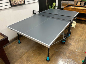 300x Table Tennis