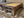 Texas Lucy Pool Table Display Dallas 