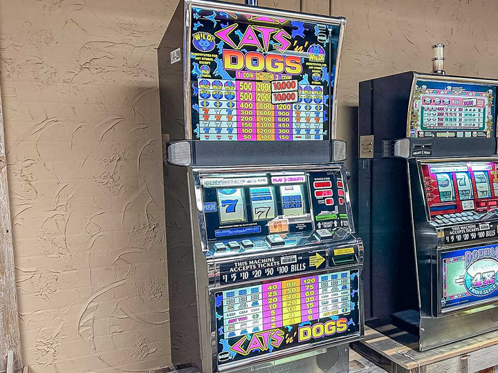Cats N Dogs Slot Machine - Refurbished